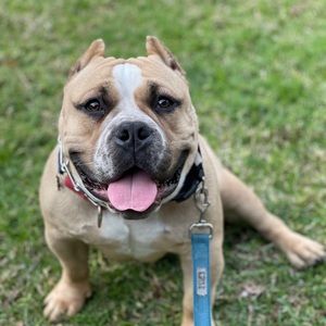 Meet your Posher, Jonathan